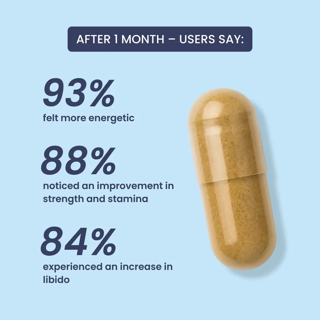 TESTOWIT - Hormonregulierung - 120 cps ORBIS Lifestyle