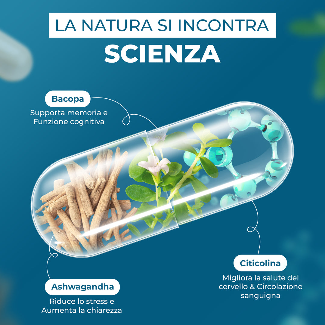 ✨ FOCUS & LIBIDO: Das perfekte Bundle! ⚡🧠 - ORBIS Lifestyle