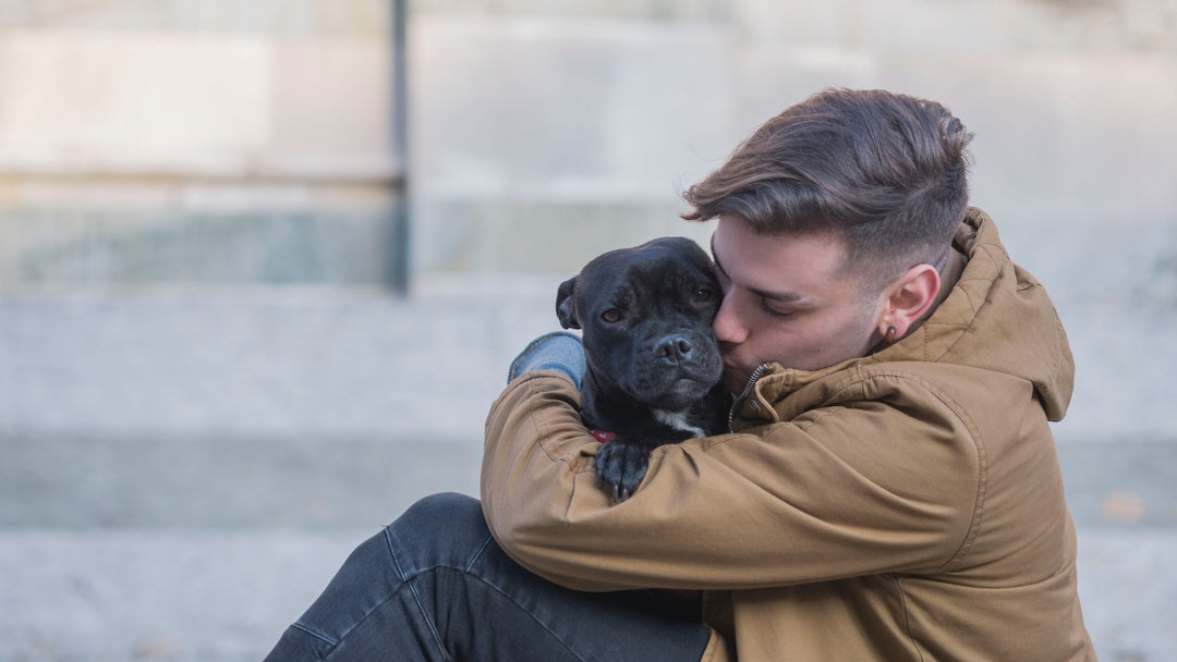 hund-geküsst-vom-besitzer.jpg